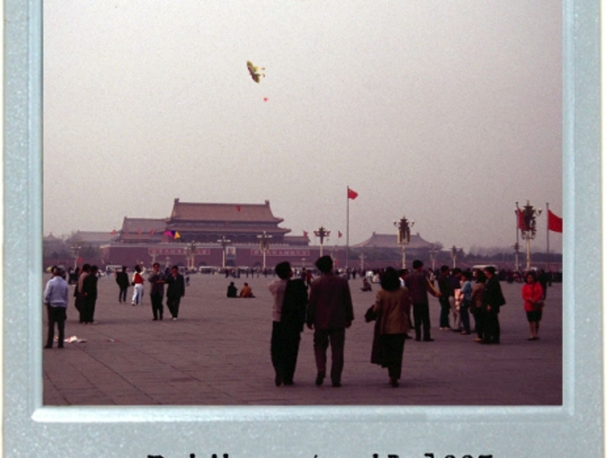 The Solitary Kite