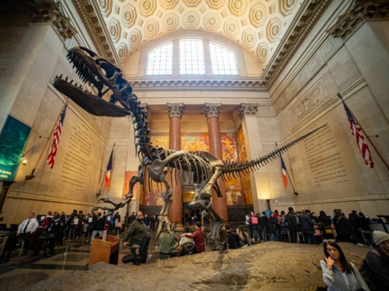 The Theodore Roosevelt Rotunda at the American Museum of Natural History