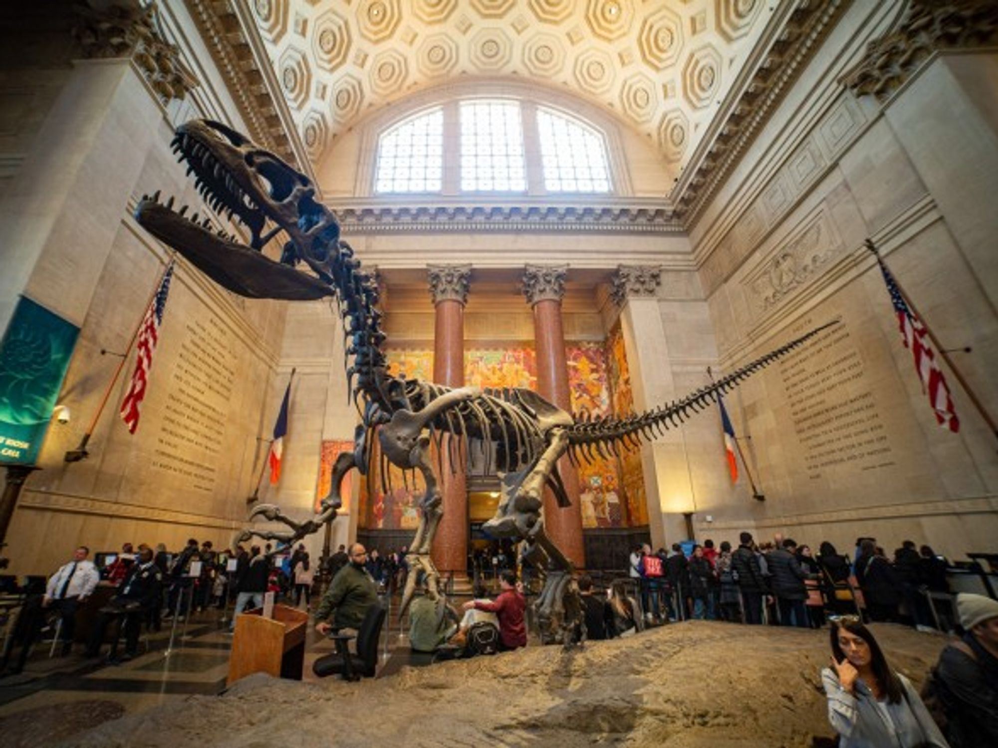 The Theodore Roosevelt Rotunda at the American Museum of Natural History