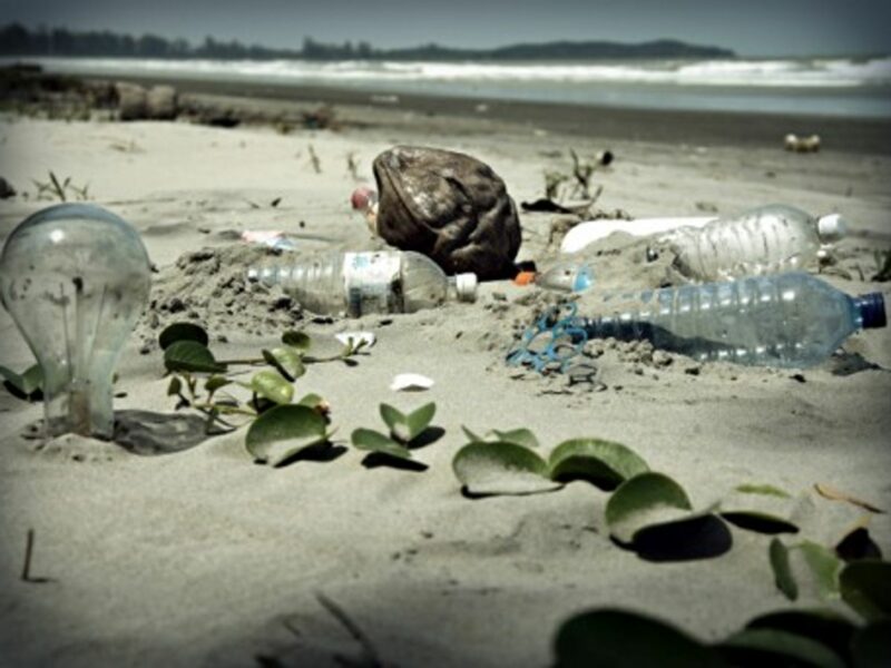 The Trials And Tribulations Of Living Without Plastic