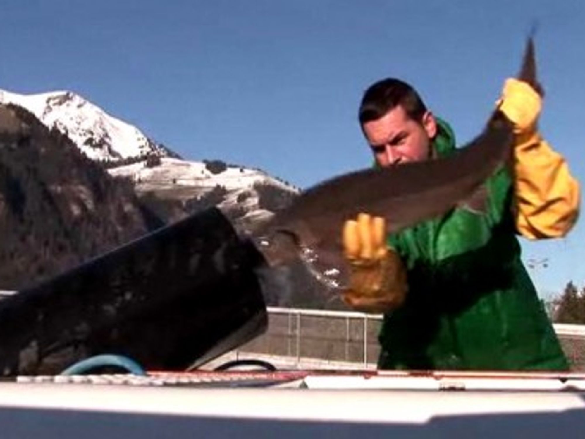 The Tropical House in Switzerland will produce 300kg of caviar by February 2012 (swissinfo.ch)