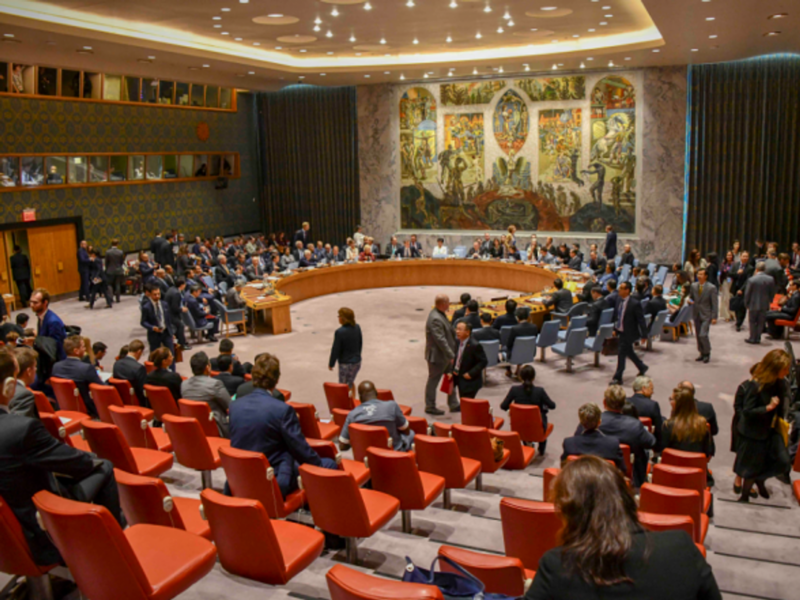 The UN Security Council: 'paralyzed, cataleptic or already dead'?