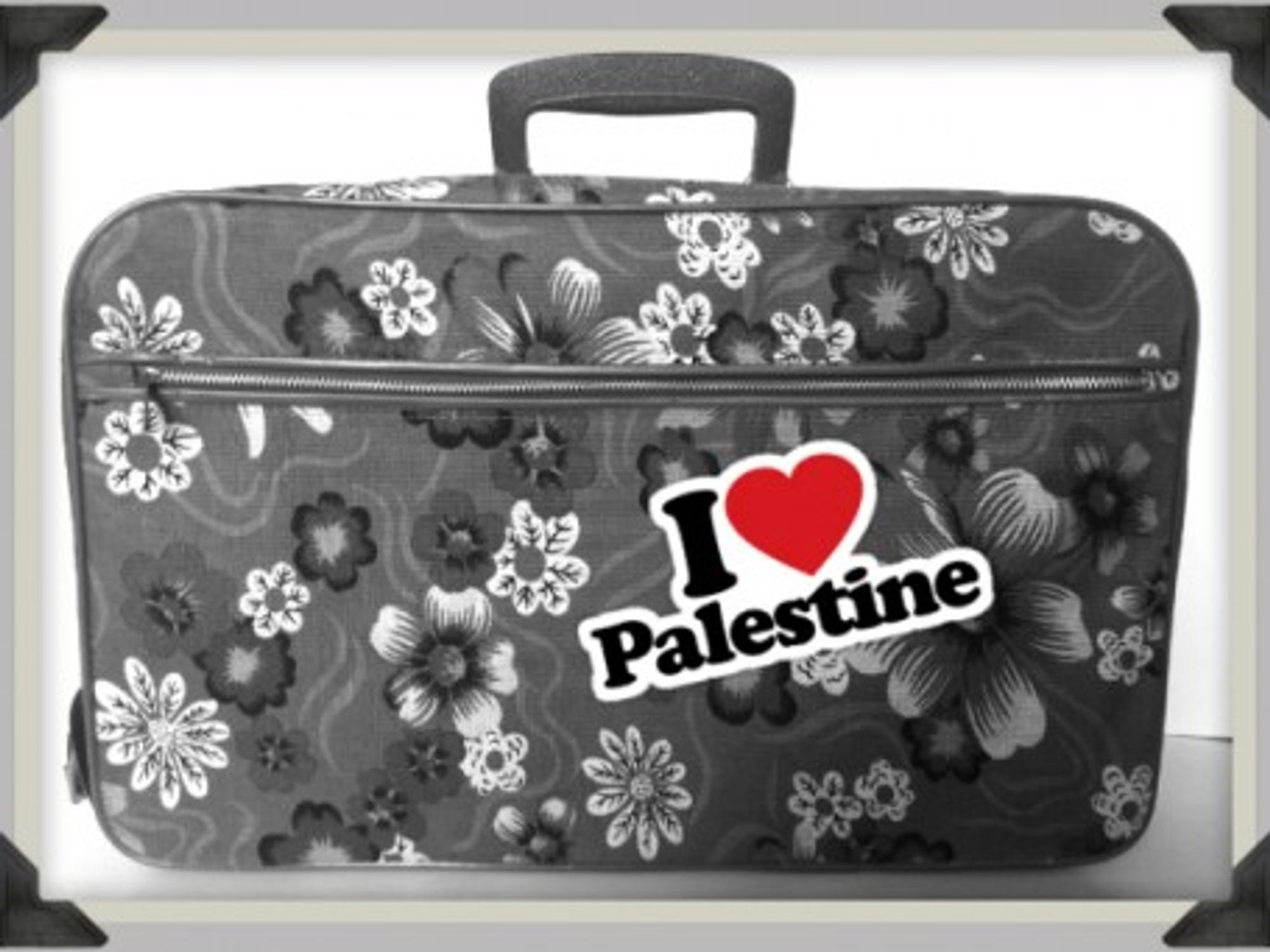 The Untapped Gold Mine Of Palestinian Economy