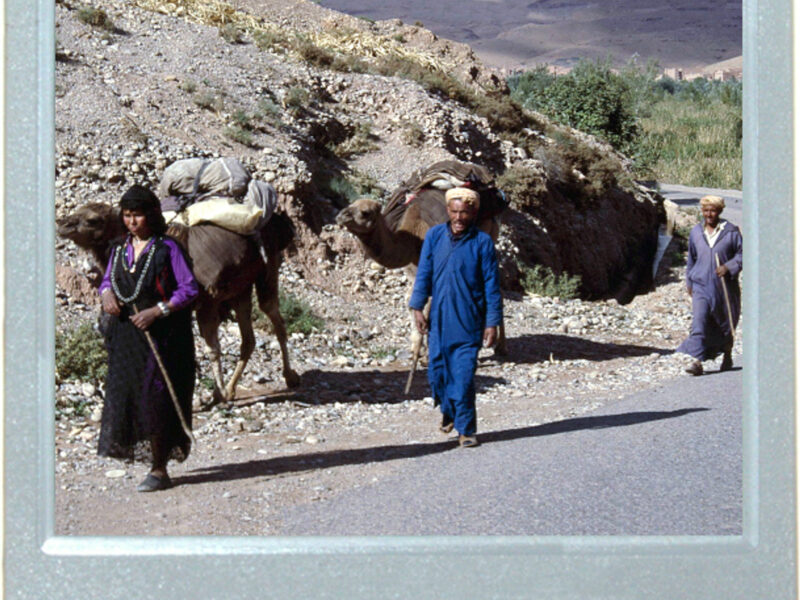 The Way To The Oasis