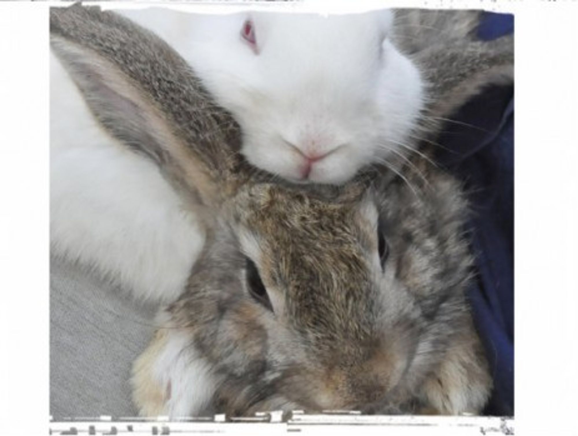 The word you're looking for is "awwww."