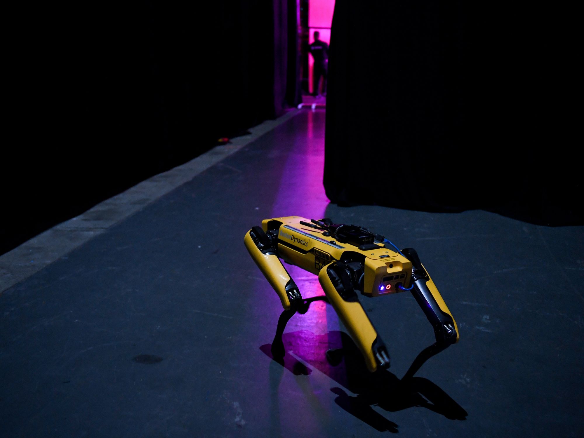 The yellow, quadruped Boston Dynamics's Spot Mini robot waits backstage