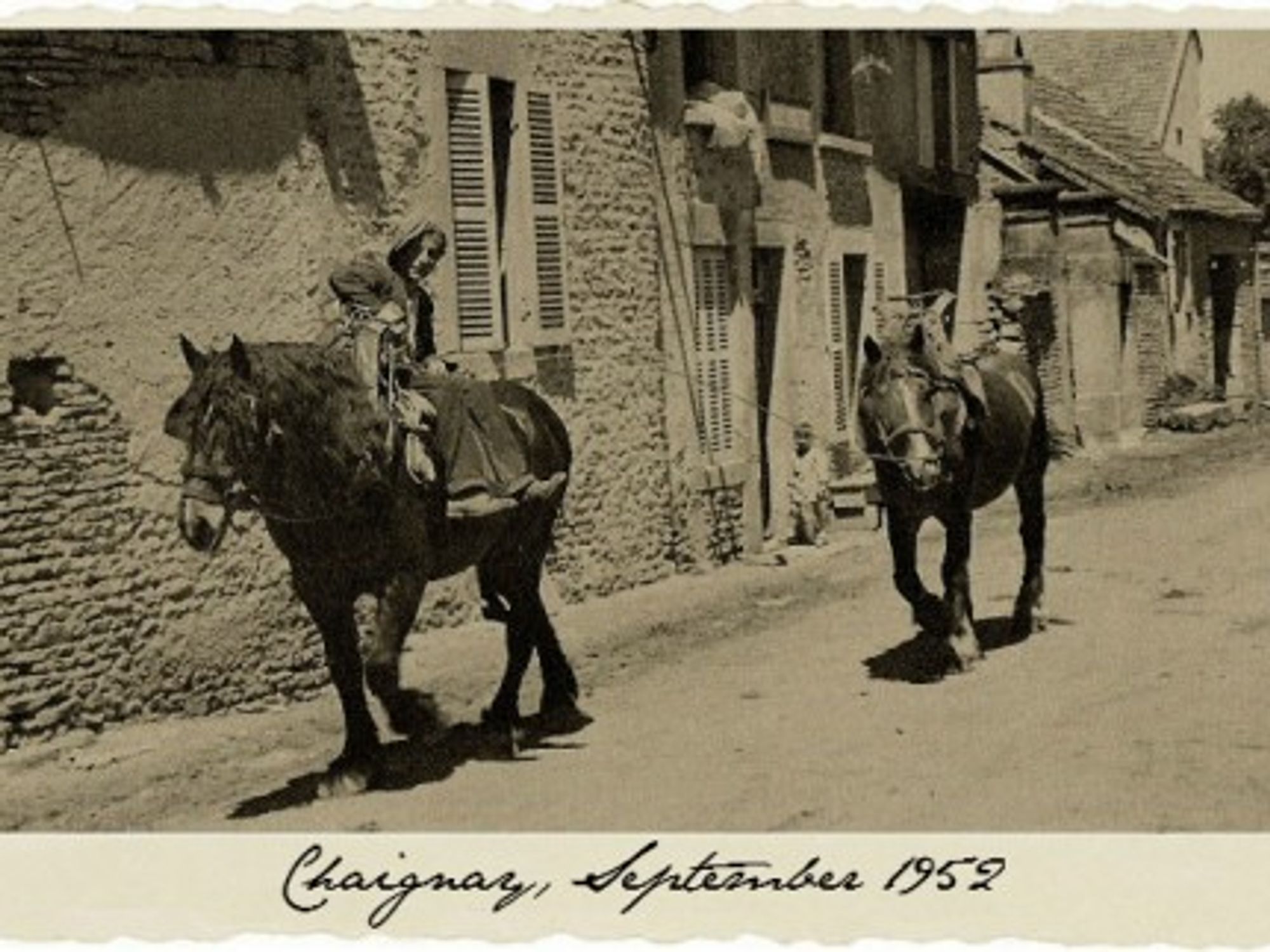 They Name Horses, Don't They?