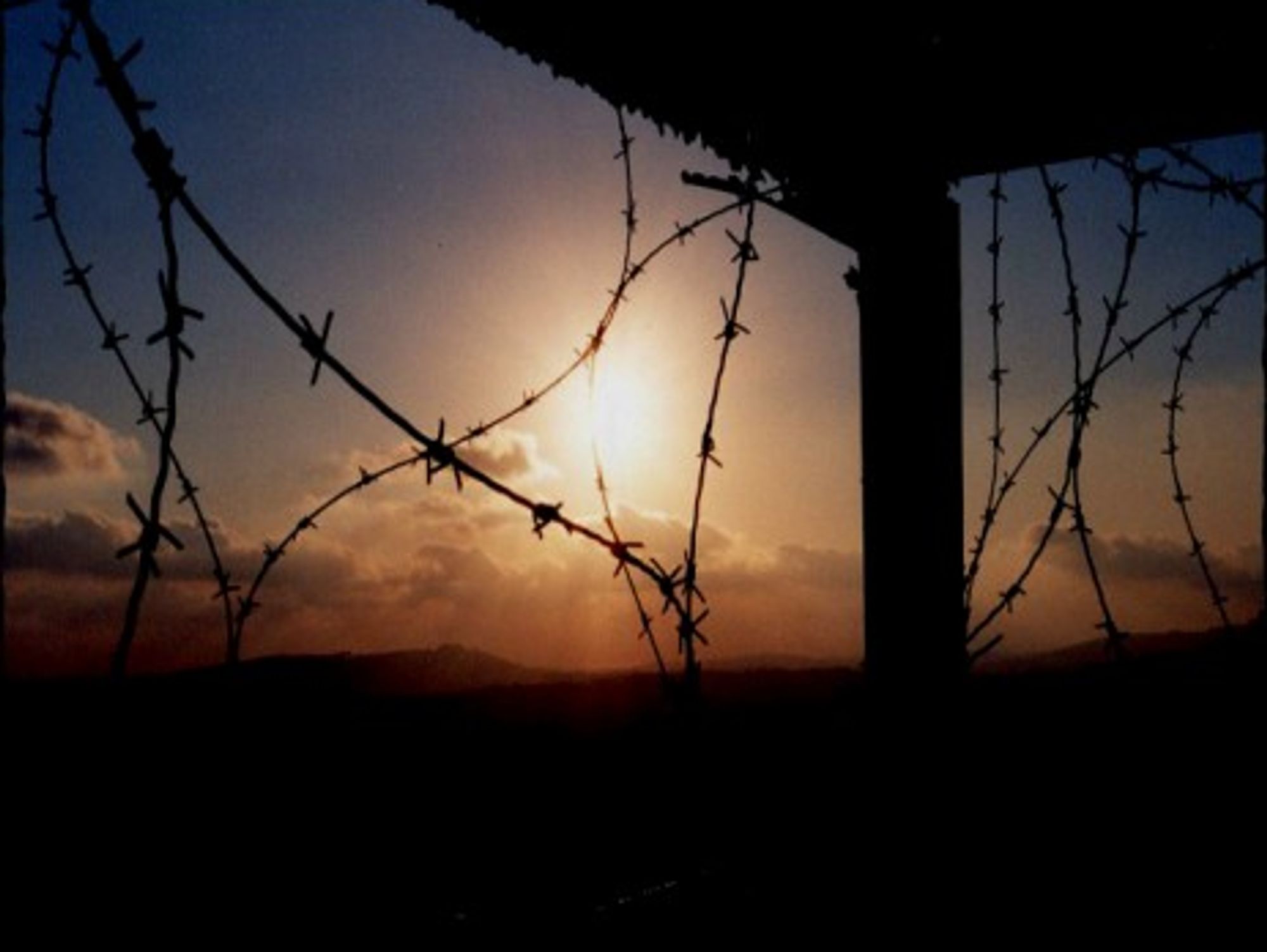 "They put barbed wire on their sunâ€