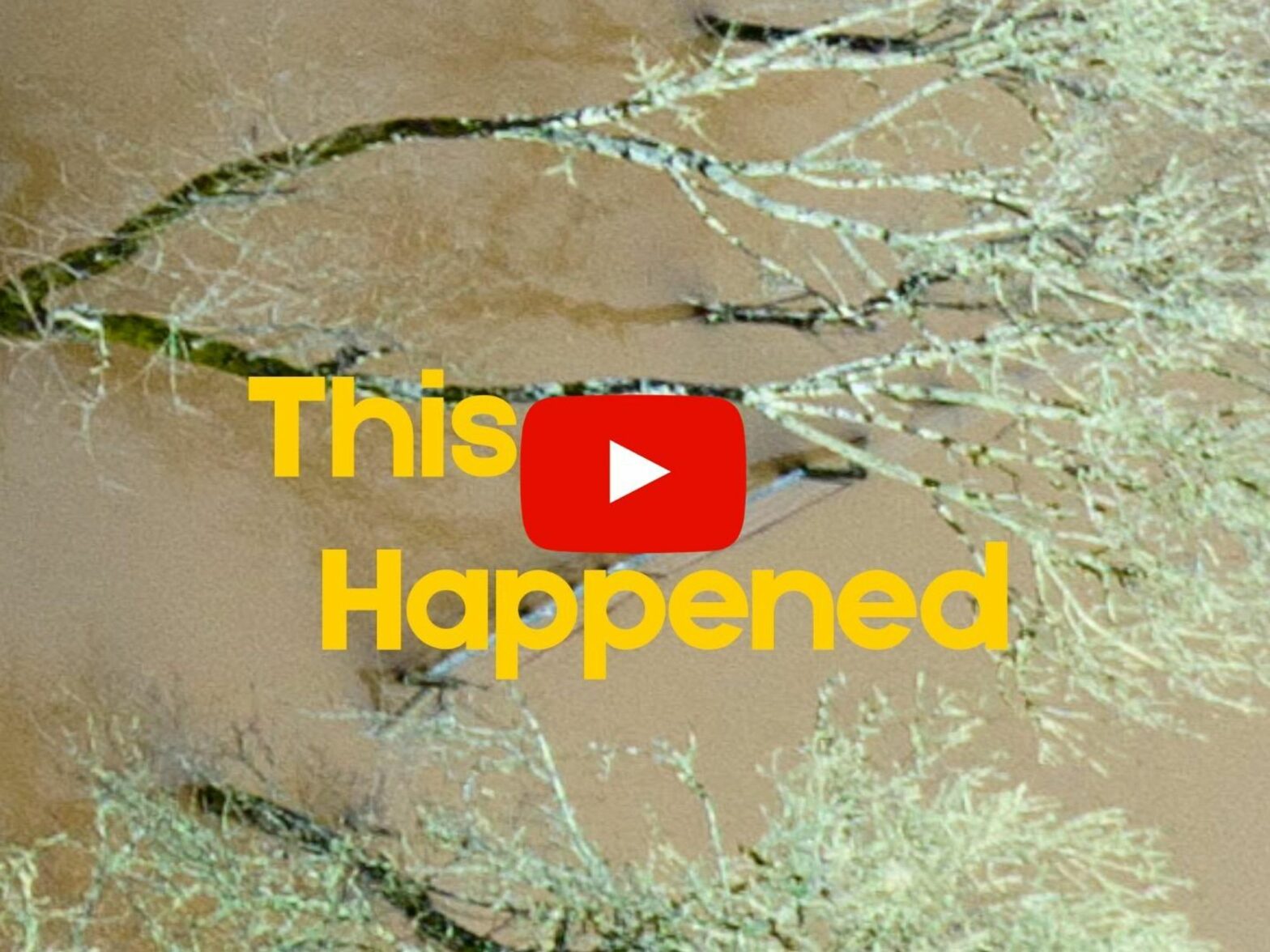 This Happened In California — Photo Of The Week