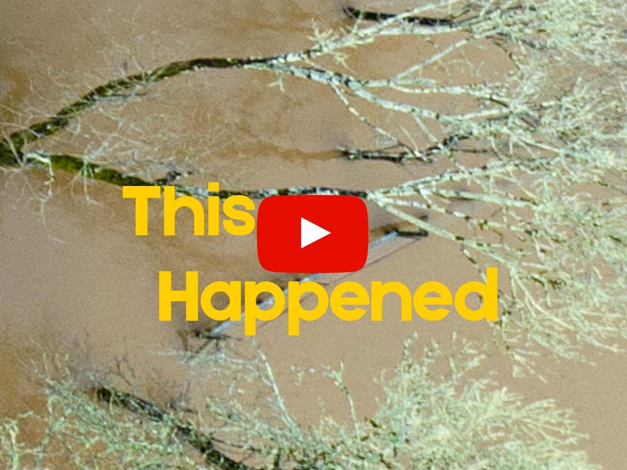 This Happened In California — Photo Of The Week