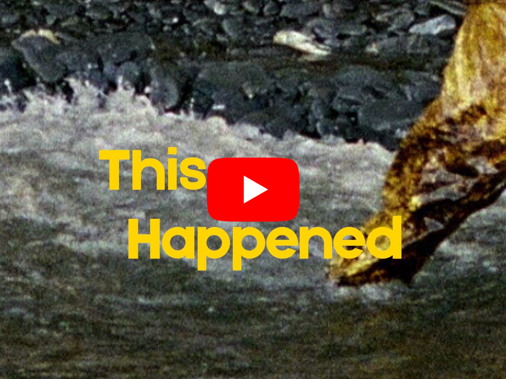 This Happened - March 24: Exxon Valdez