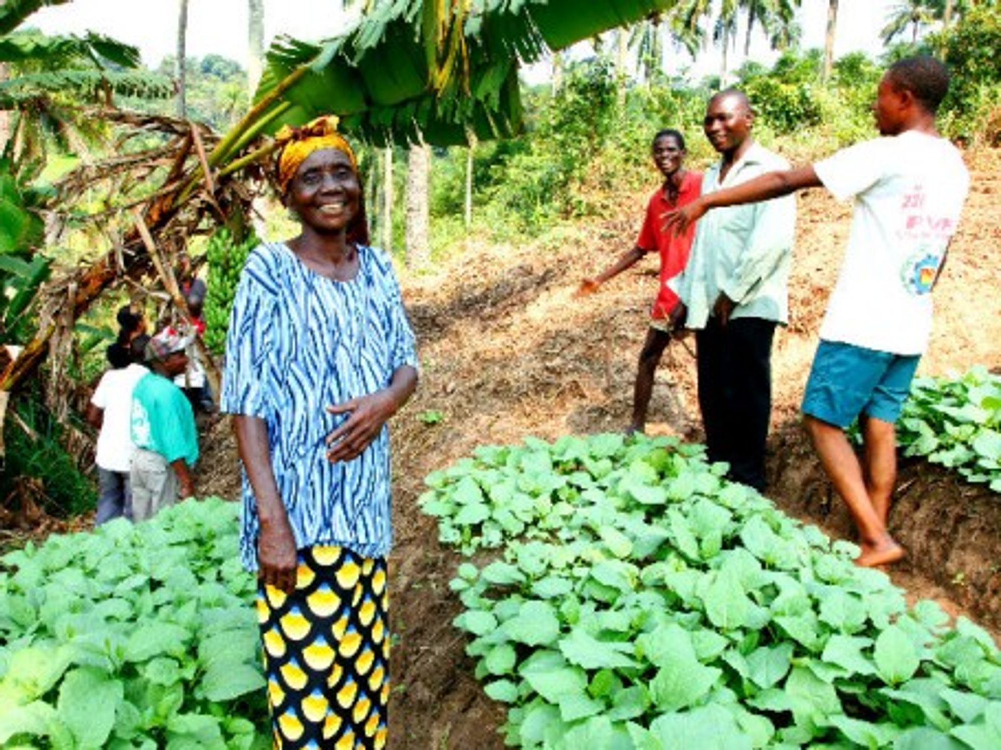 "This support encourages many farmers to put more effort into improving their output techniques"