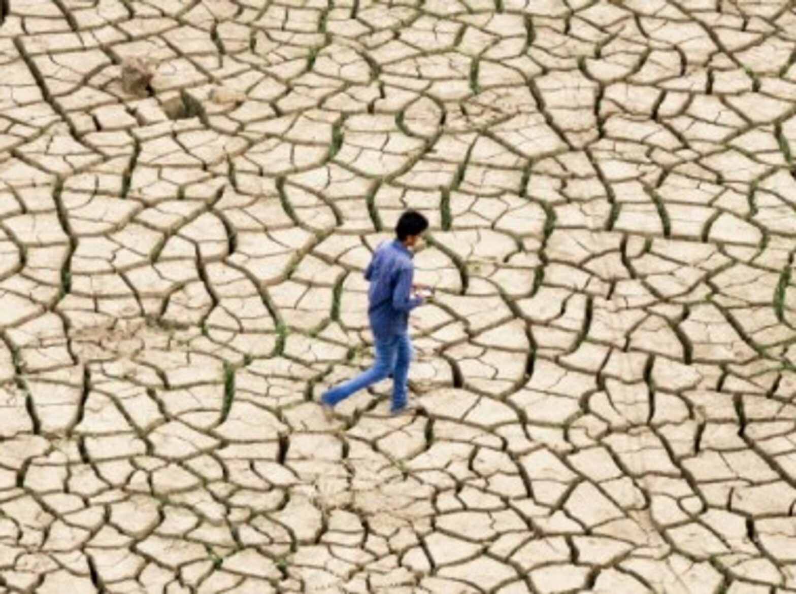 This year's monsoon season was regarded as defficient near Allahabad, northern India