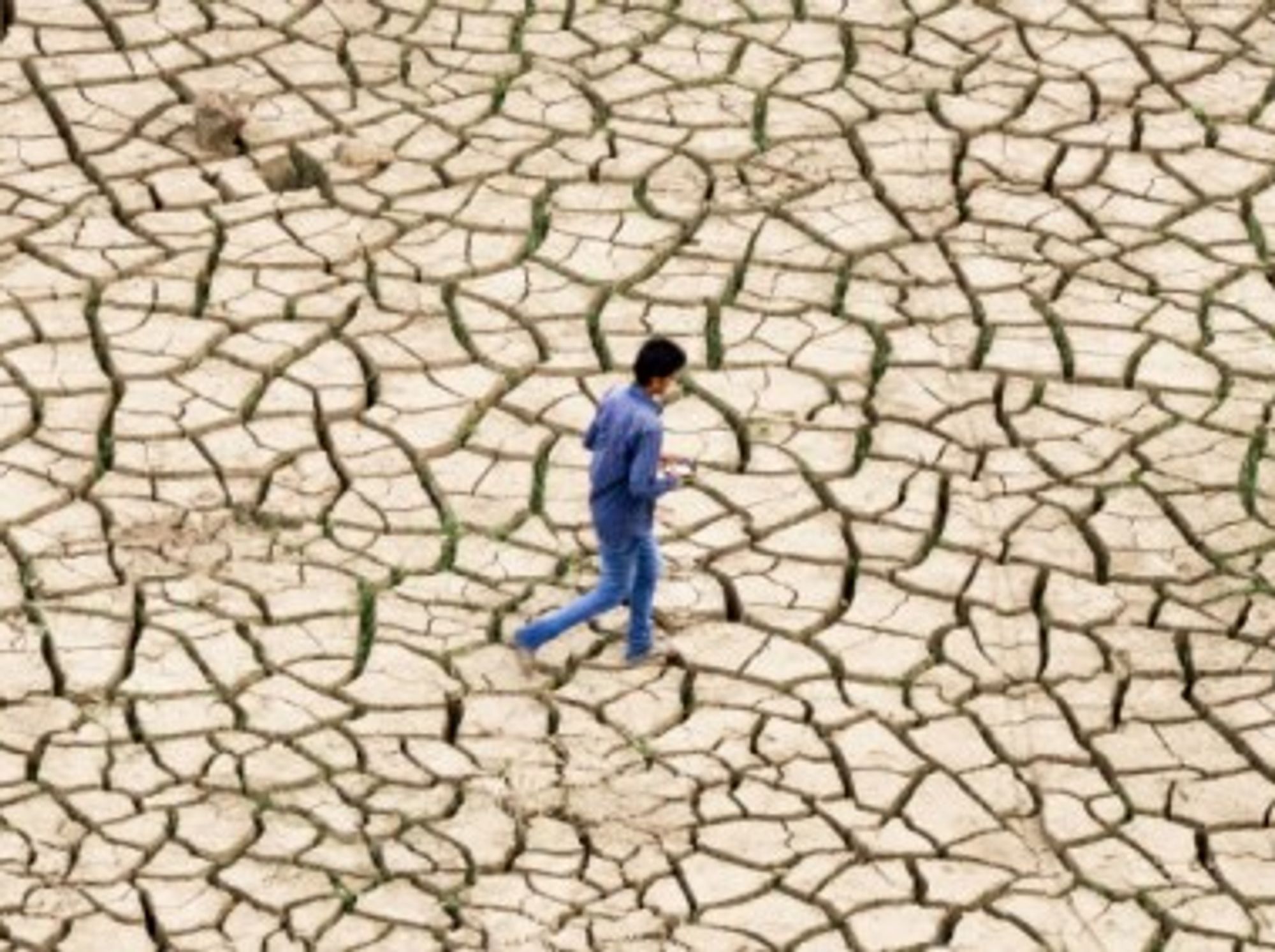 This year's monsoon season was regarded as defficient near Allahabad, northern India