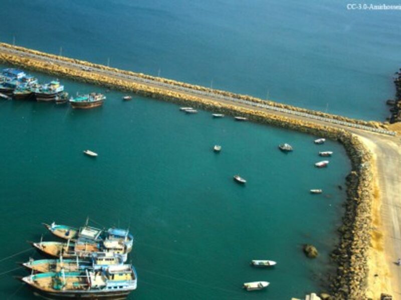 Thousands Of Dead Fish Wash Ashore In Southern Iran