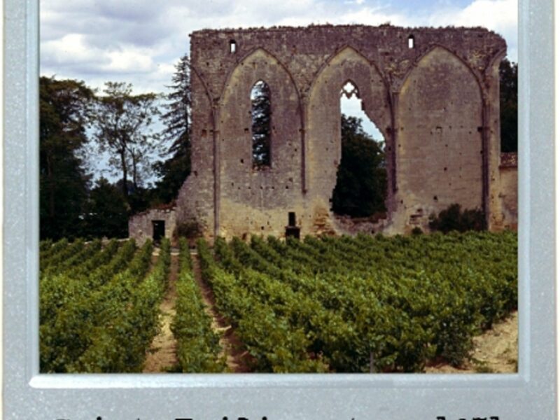Through The Grapevine