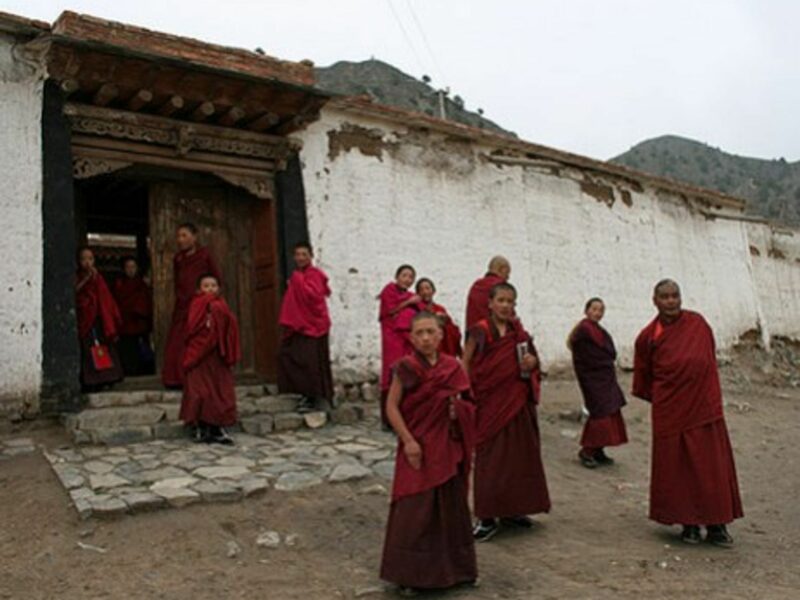 Tibetan Medicinal Wonders Manufactured By A Swiss Pharmaceutical Firm