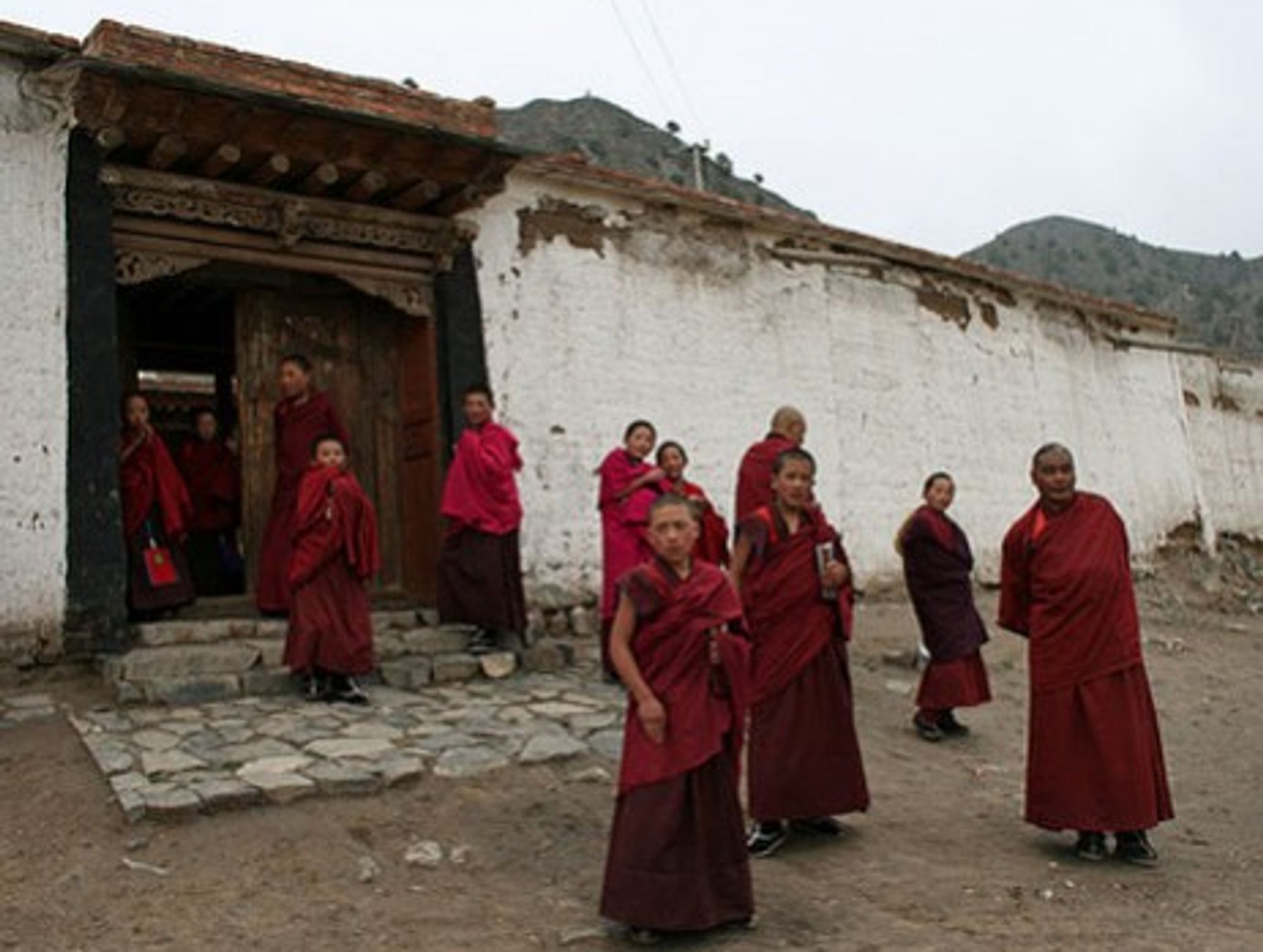 Tibetan Medicinal Wonders Manufactured By A Swiss Pharmaceutical Firm