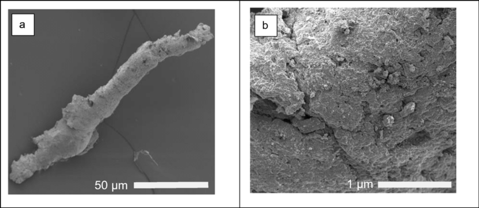 Tire particle pollution under the microscope.