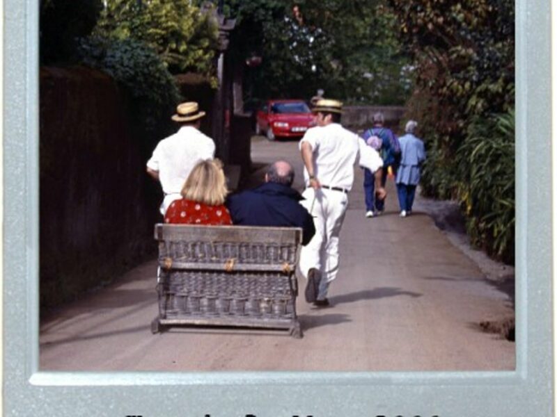 Toboggan Fun For All