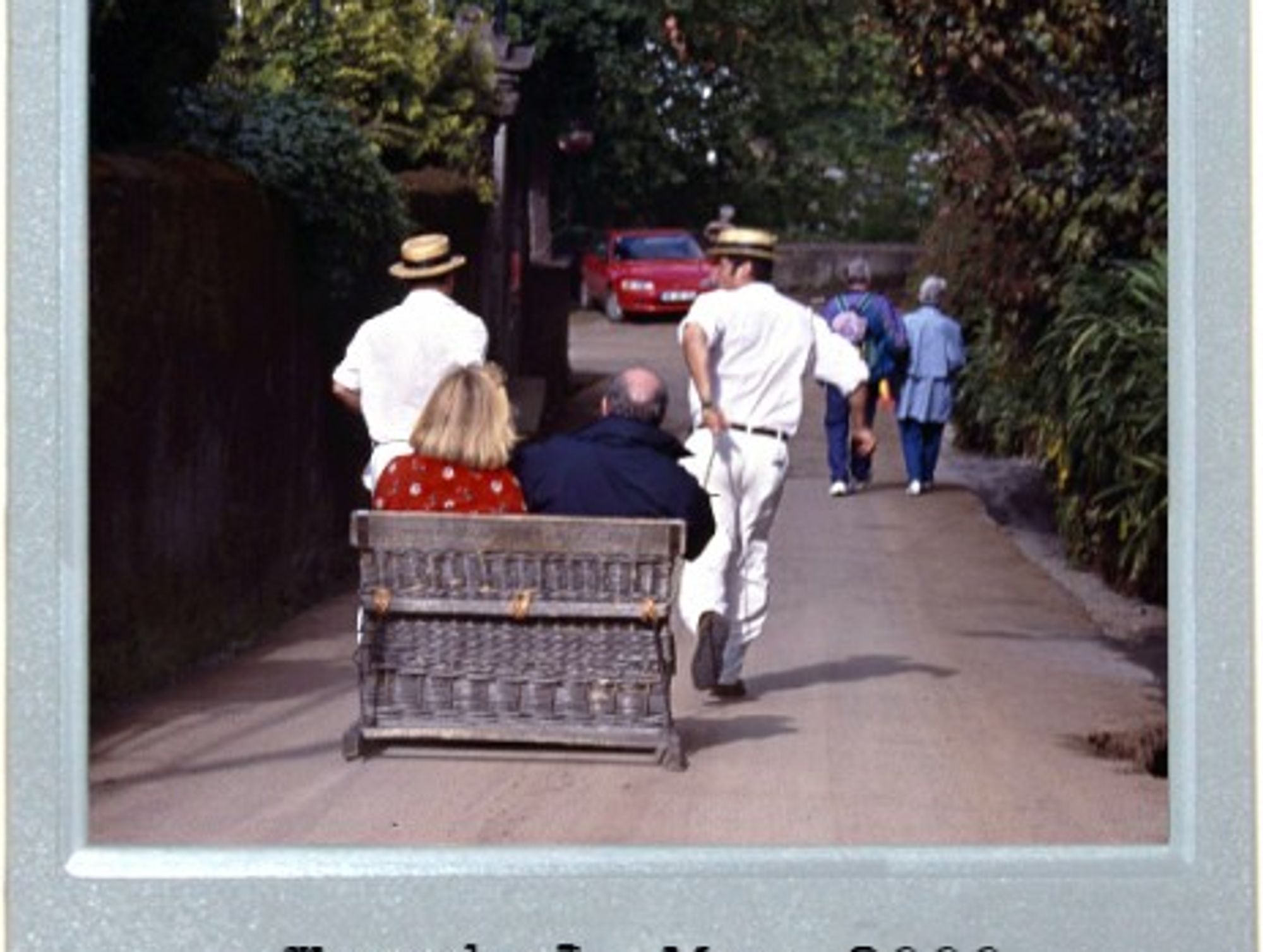 Toboggan Fun For All
