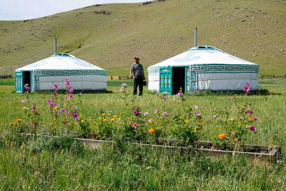 Tourists stay in traditional gers during their stay.