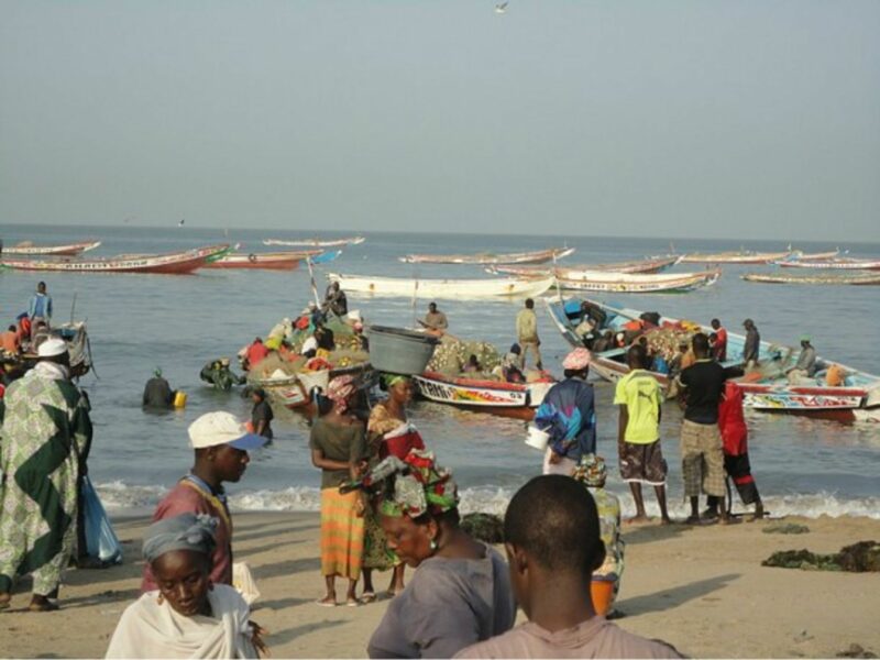 Traders at the fish market in the coast of Gambia