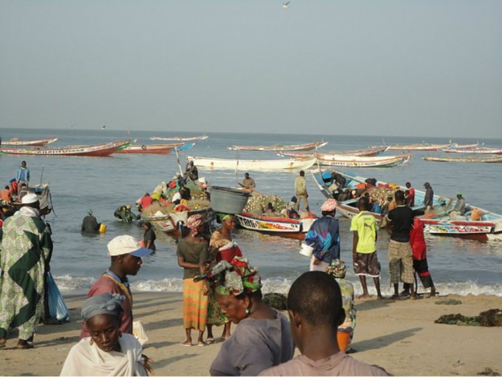 Traders at the fish market in the coast of Gambia