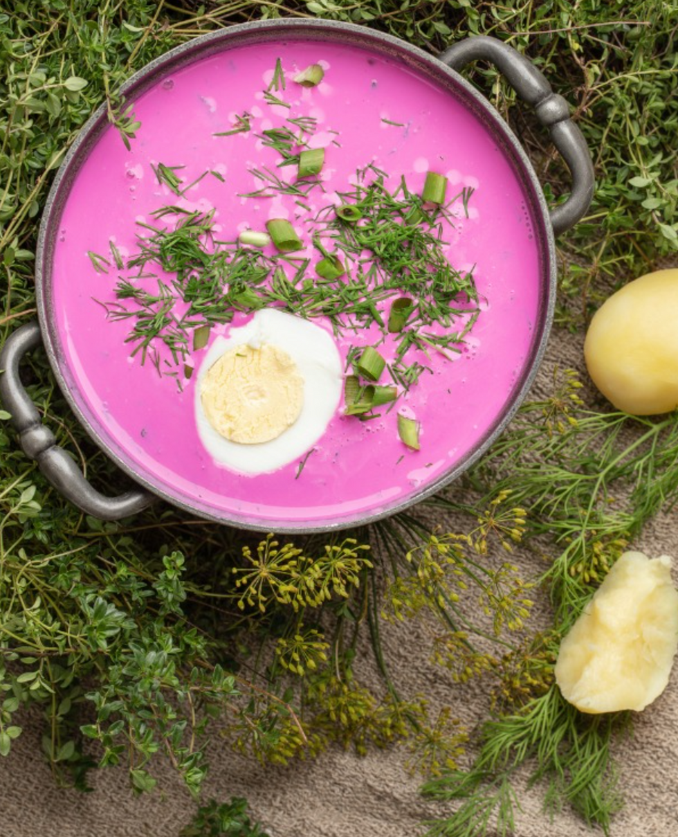 Traditional Lithuanian saltibaršcai.