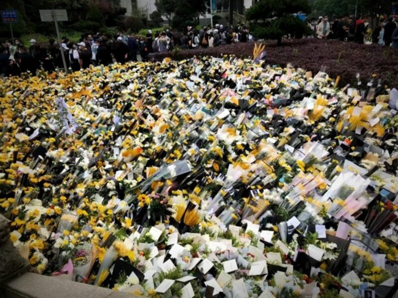 Tribute to Yuan Longping in Changsha, May 24.