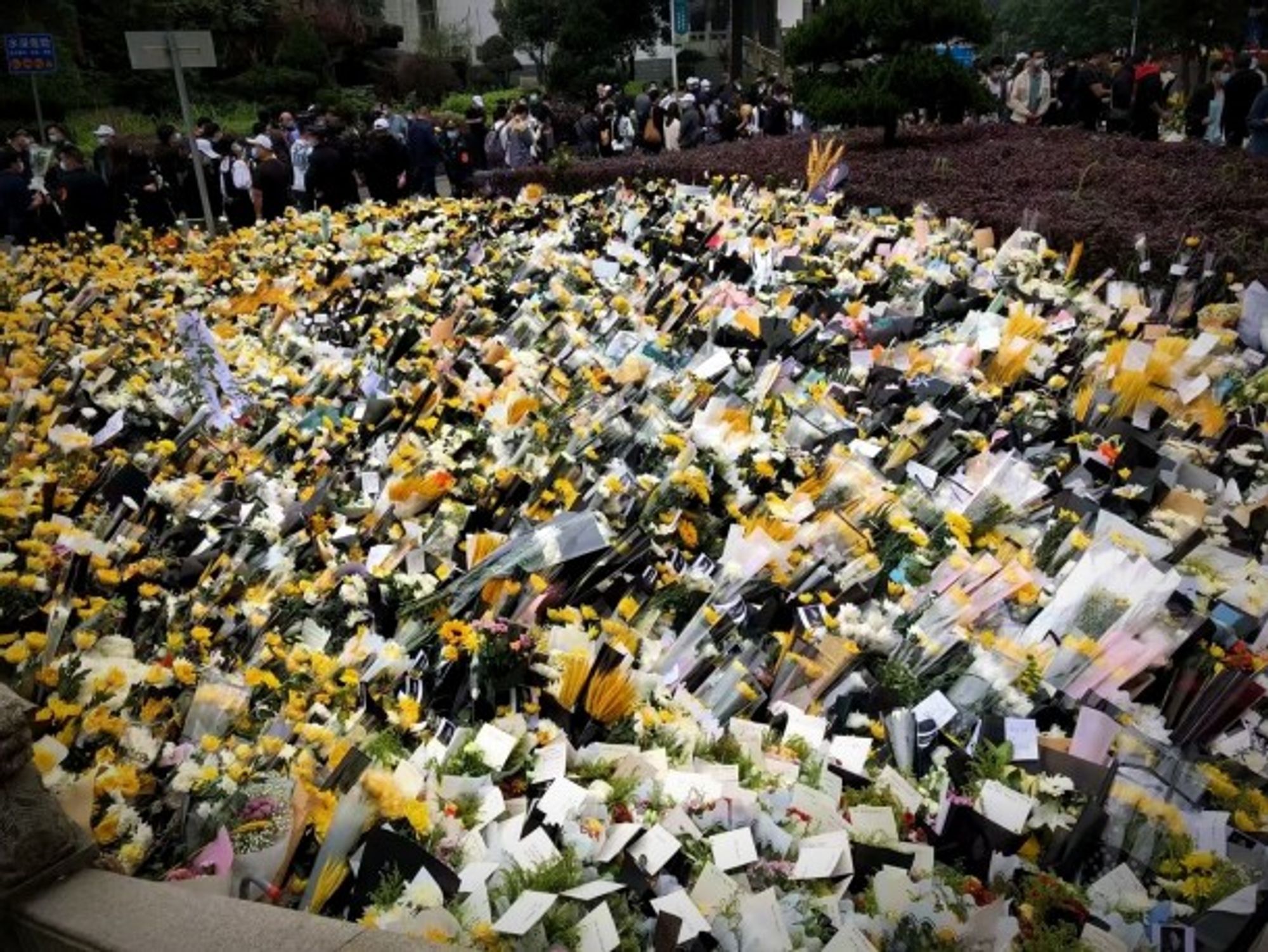 Tribute to Yuan Longping in Changsha, May 24.