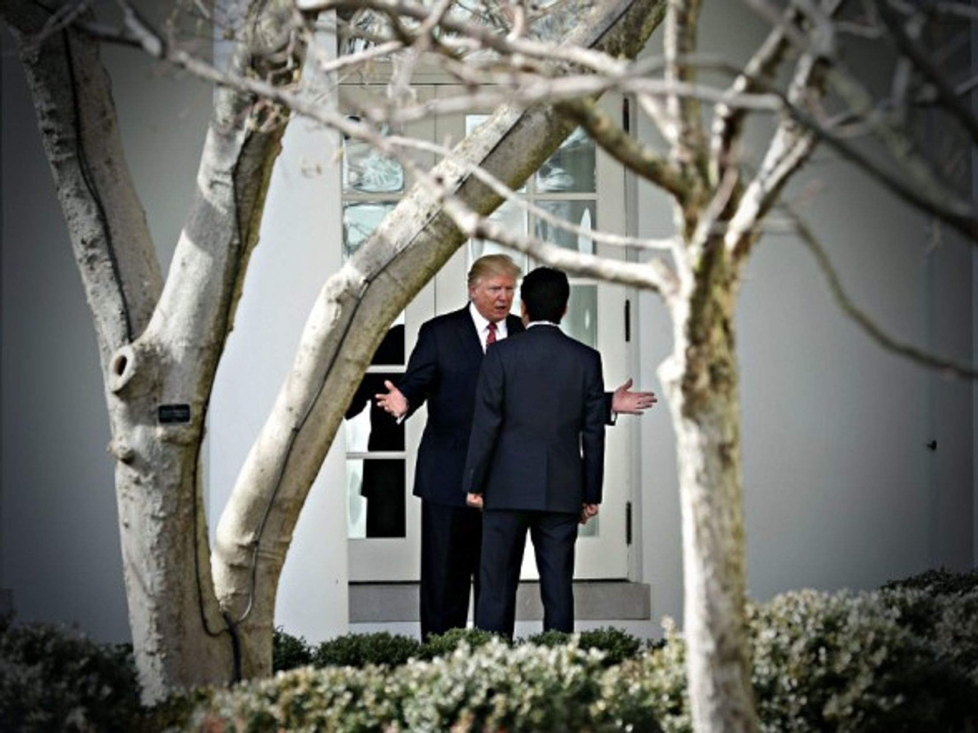 Trump and Japan's Shinzo Abe last month