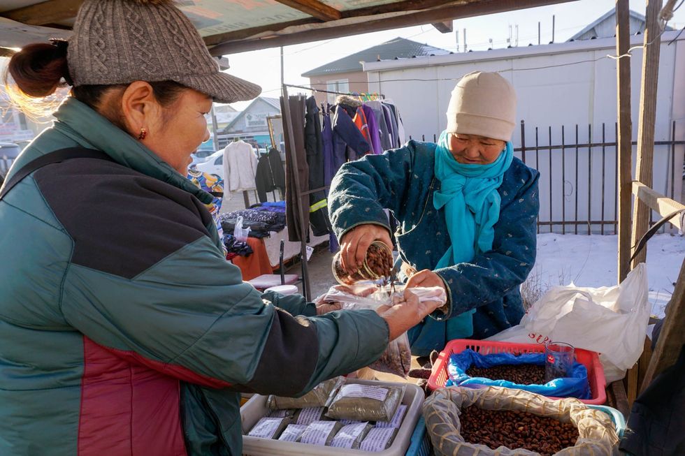 Tungalag Vanchindorj sells cedar nuts, which she acquired on the black market, to Elbegzaya Purev-Ulzii in Murun soum, Khuvsgul province.