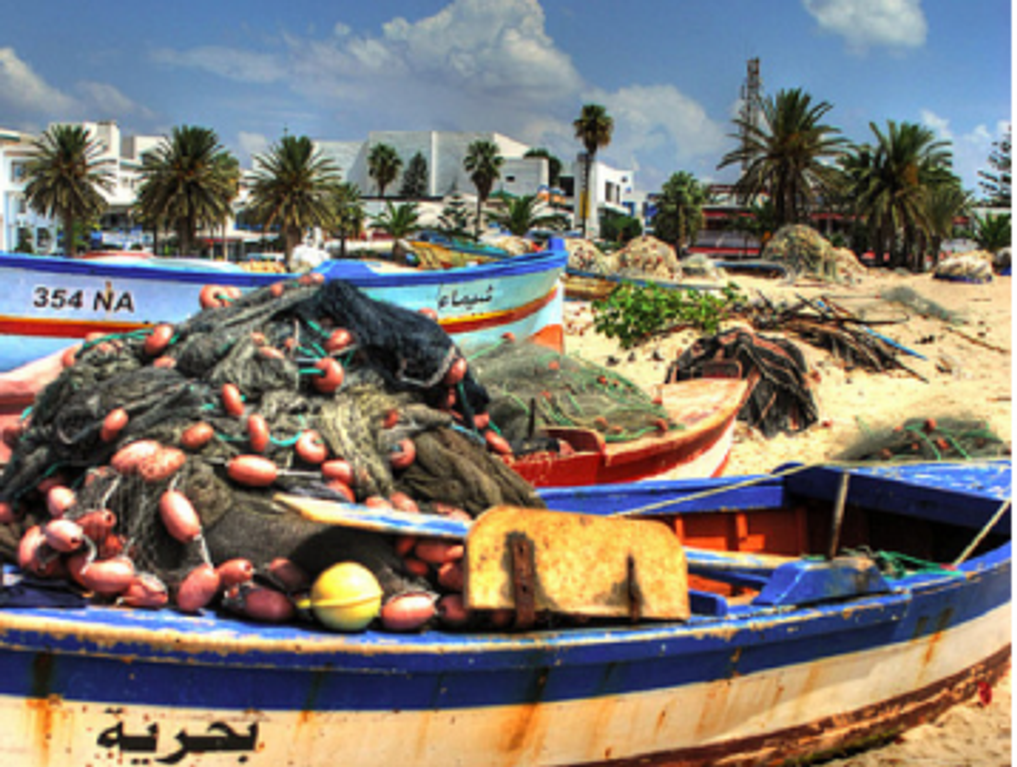 Tunisian economy has been grounded since the Jasmine Revolution (francesco sgroi)