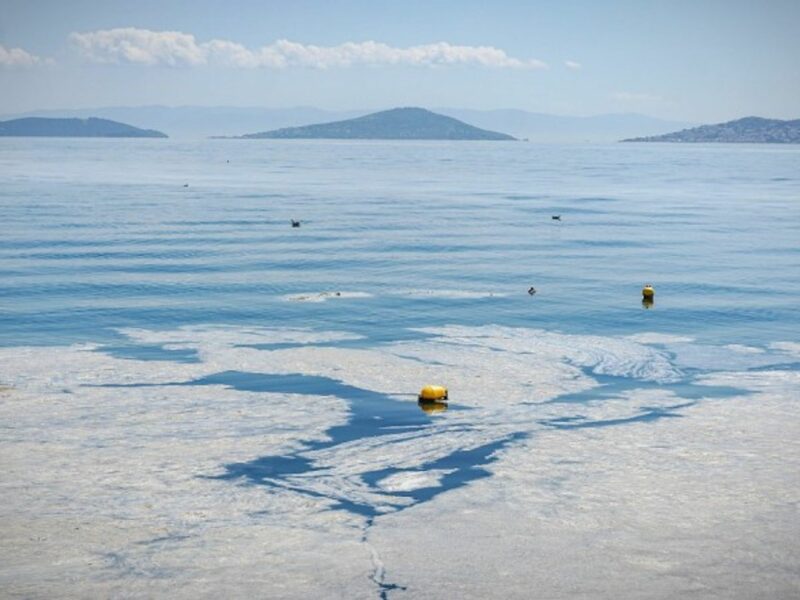 Turkey’s Marmara Sea is facing a scourge of marine mucilage, or “sea snot”