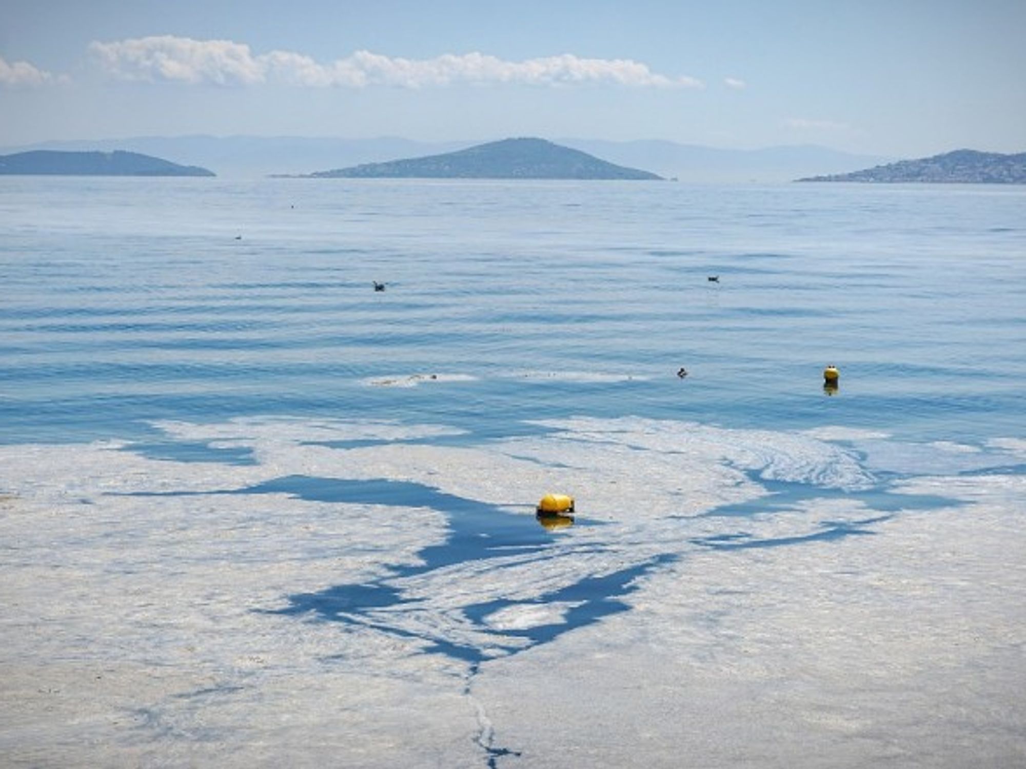 Turkey’s Marmara Sea is facing a scourge of marine mucilage, or “sea snot”