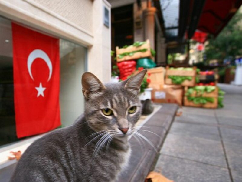 Turkish delight