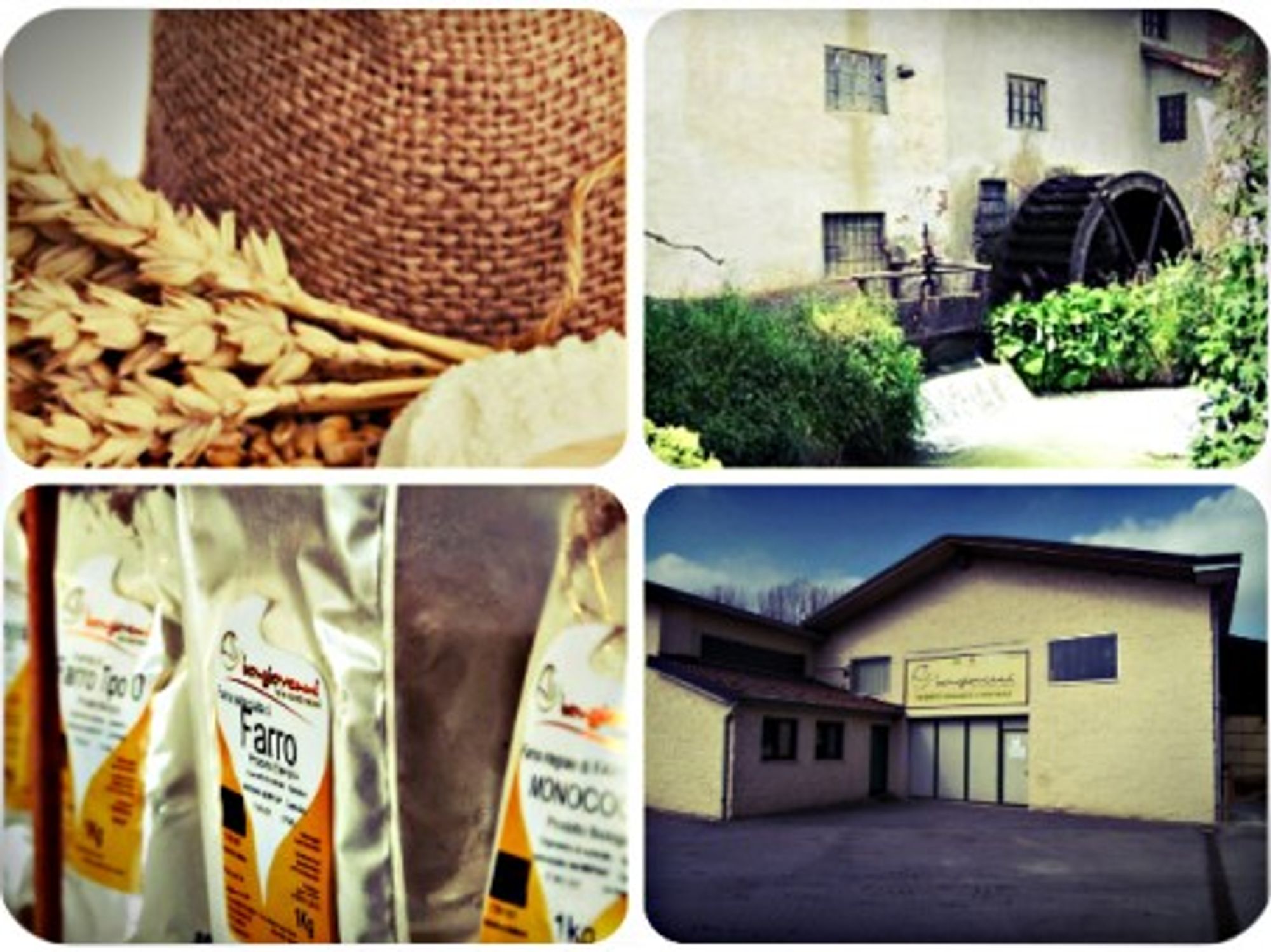 Turning an old mill into a successful business