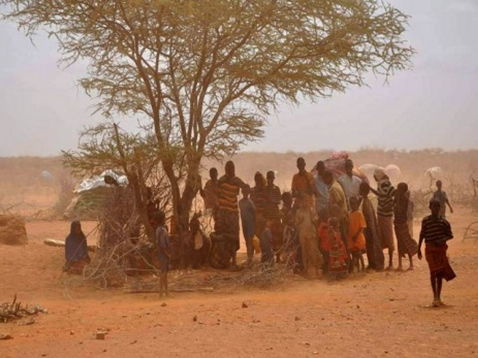U.S. Forces in Somalia (expertinfantry)