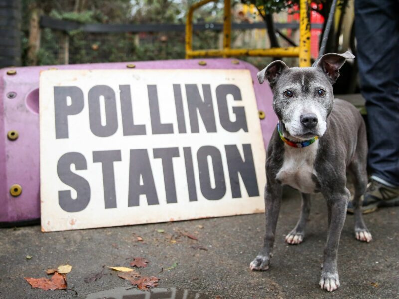 UK. A dog at a polling station sign in Haringey, north London.