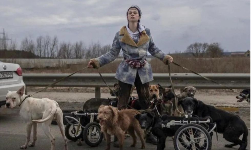 Ukrainian Couple Fled Irpin With 19 Dogs