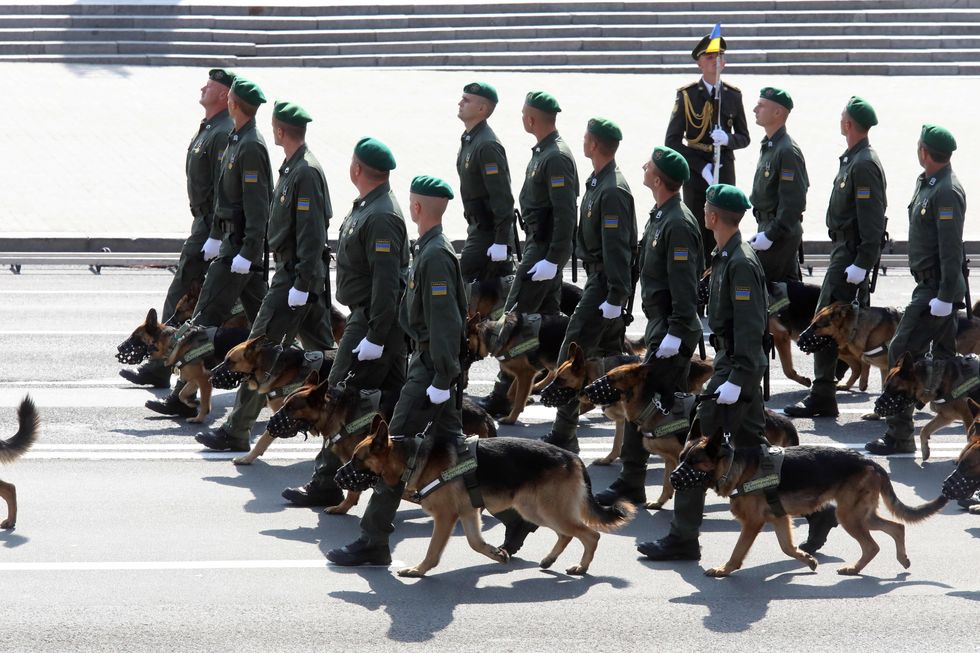 Ukrainian soldiers parade in uniform with their K9s by their sides