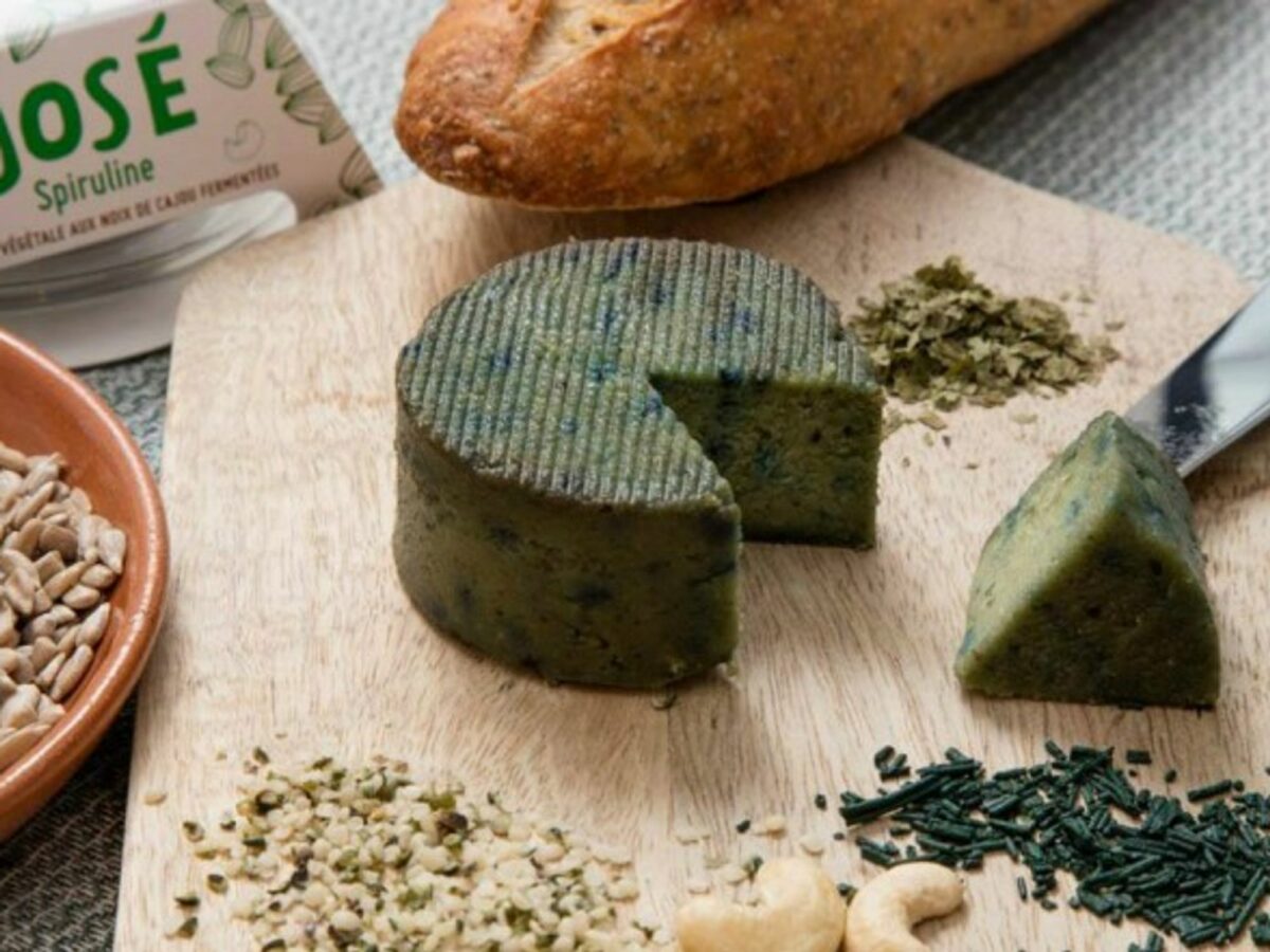 Vegan cheese, made from spiruline and cashew