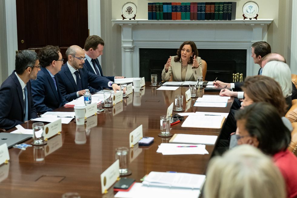 Vice President Kamala Harris sits at the head of a conference table with CEOs of AI companies on either side.