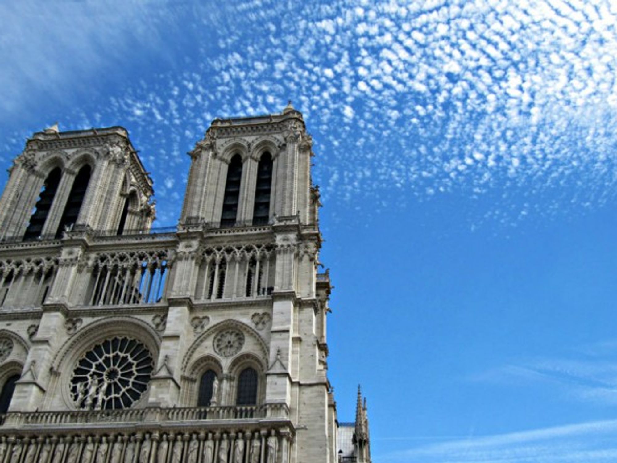 View looking up at Notre Dame de Paris from below