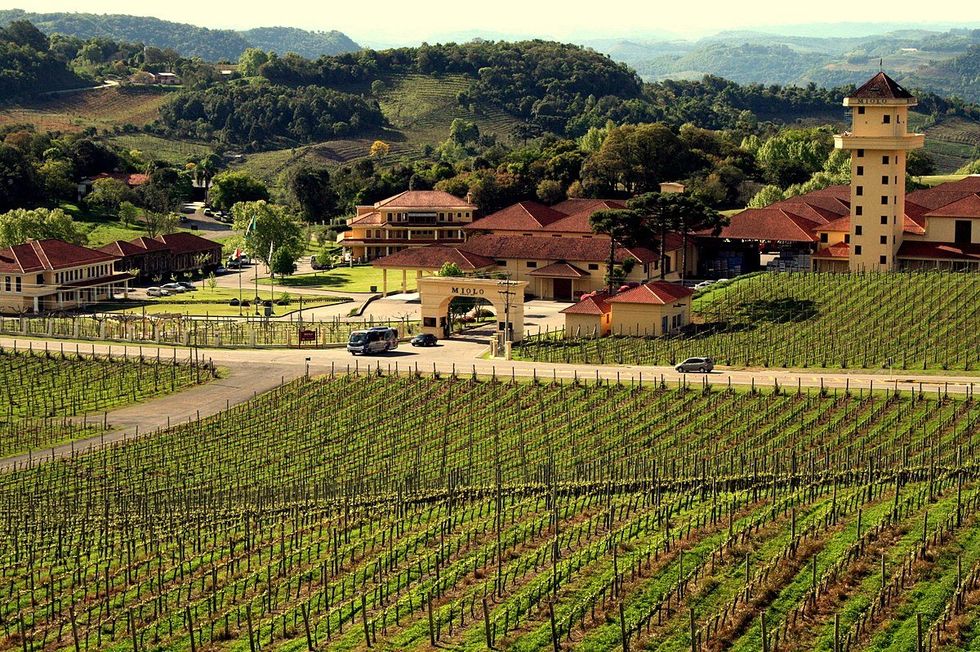 View of the Miolo estate in Vale dos Vinhedos.