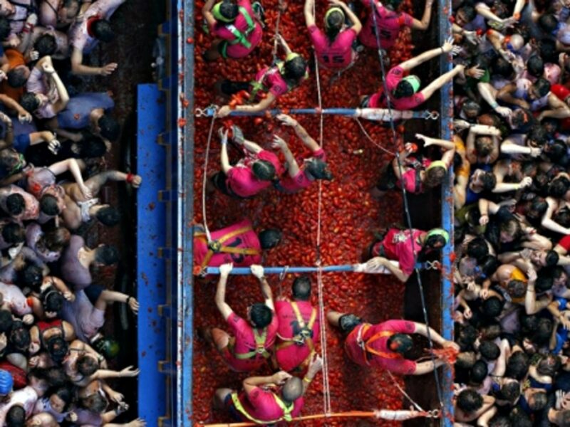 Virginia In Shock, Drug-Using Medical Students, Tomatina