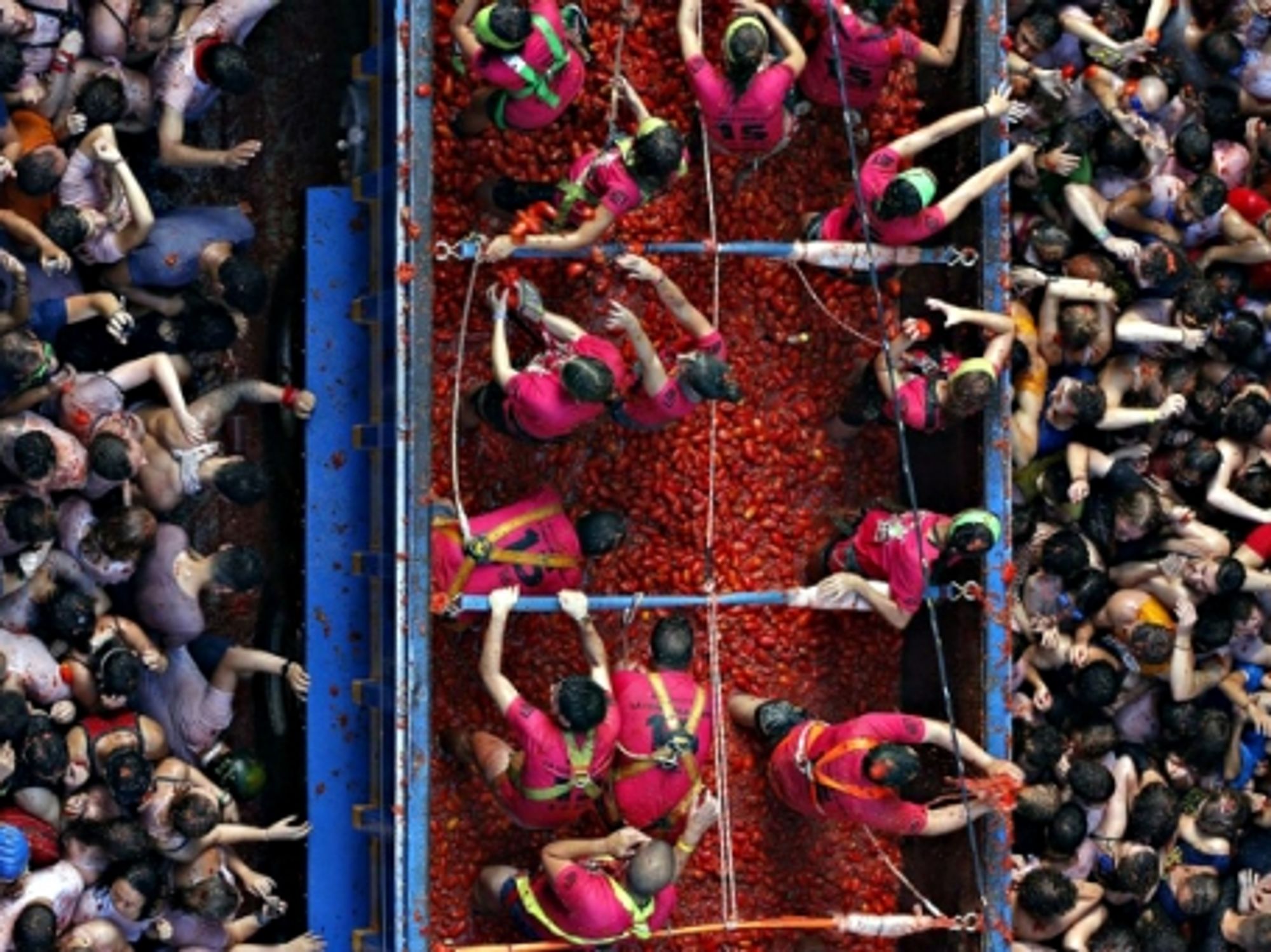 Virginia In Shock, Drug-Using Medical Students, Tomatina