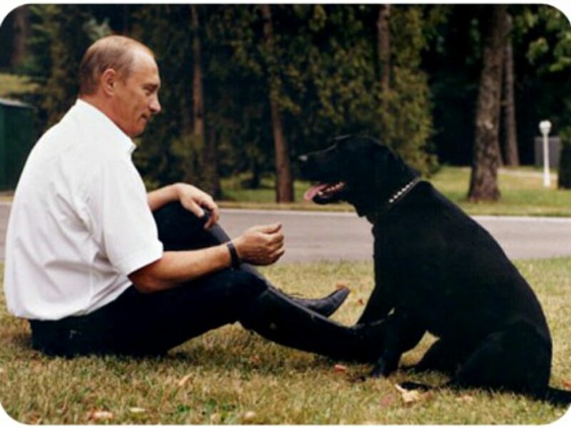 Vladimir Putin and his labrador Koni
