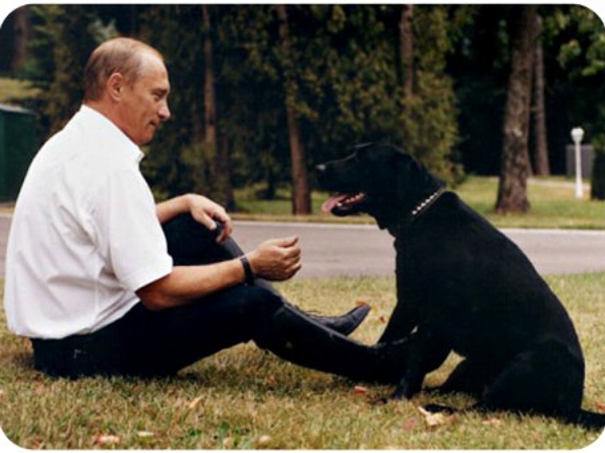 Vladimir Putin and his labrador Koni